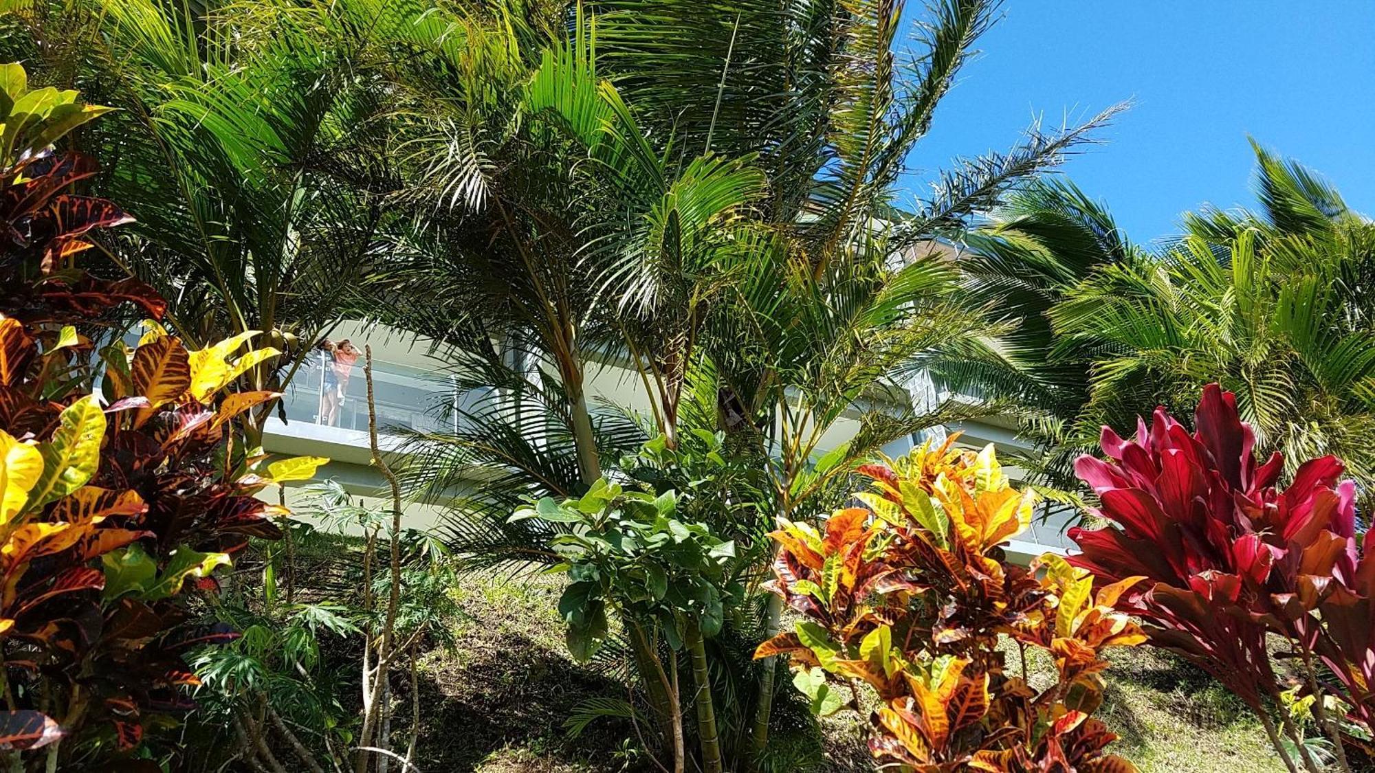 Lake Arenal Condos Naranjos Agrios Bagian luar foto